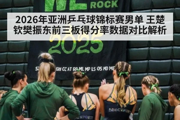2026年亚洲乒乓球锦标赛男单 王楚钦樊振东前三板得分率数据对比解析