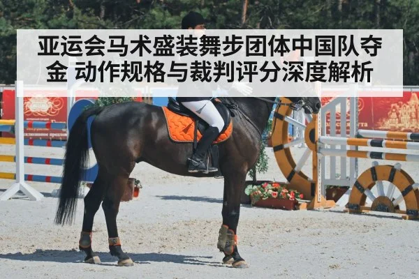 亚运会马术盛装舞步团体中国队夺金 动作规格与裁判评分深度解析
